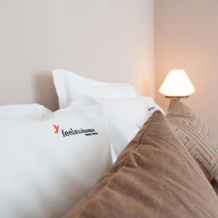 公寓 Flh Intendente Charming Flat